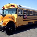 cheryl-s-2001-bluebird-conventional