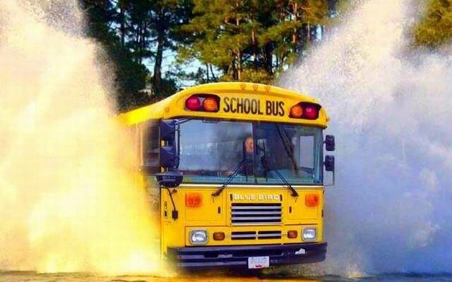 great-school-bus-photos